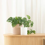 Athens Planter Sand – Ribbed Ceramic Pot with Saucer & Drainage