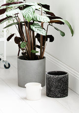 A minimalist plant in a Zakkia Terrazzo Pot - Black on a white floor.