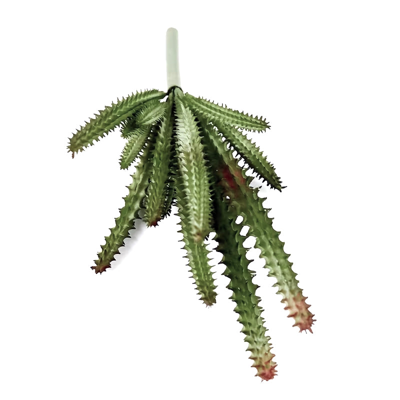 Watch Chain Cactus, 23cm Faux Greenery