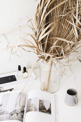 ZAKKIA Deco Vase – Tall Clear Glass Vase (14cm x 22cm)