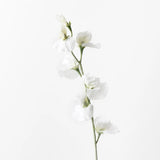 Sweet Pea Cream Faux Stem | 63cm