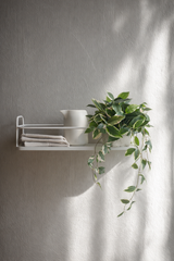 Pothos Variegated Hanging Bush 40cm – Artificial Greenery