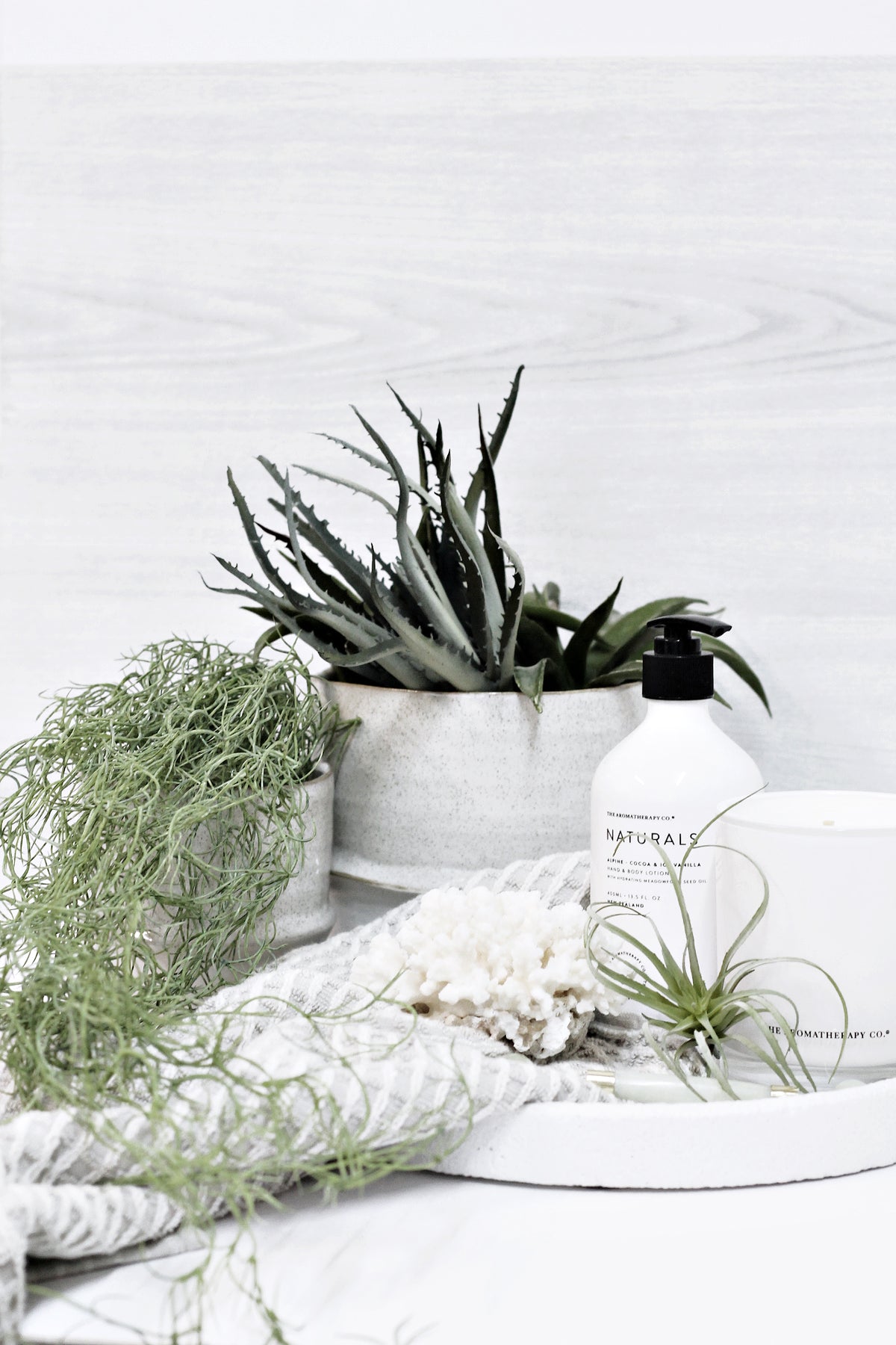 Aloe Vera Plant, 23cm Realistic Faux Greenery