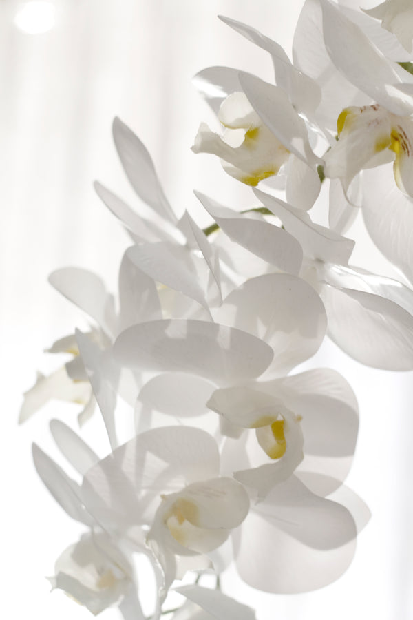 A close up of the Real Touch Moth Orchid White by Artificial Flora in a vase, beautifully arranged with floral styling and minimal greenery.