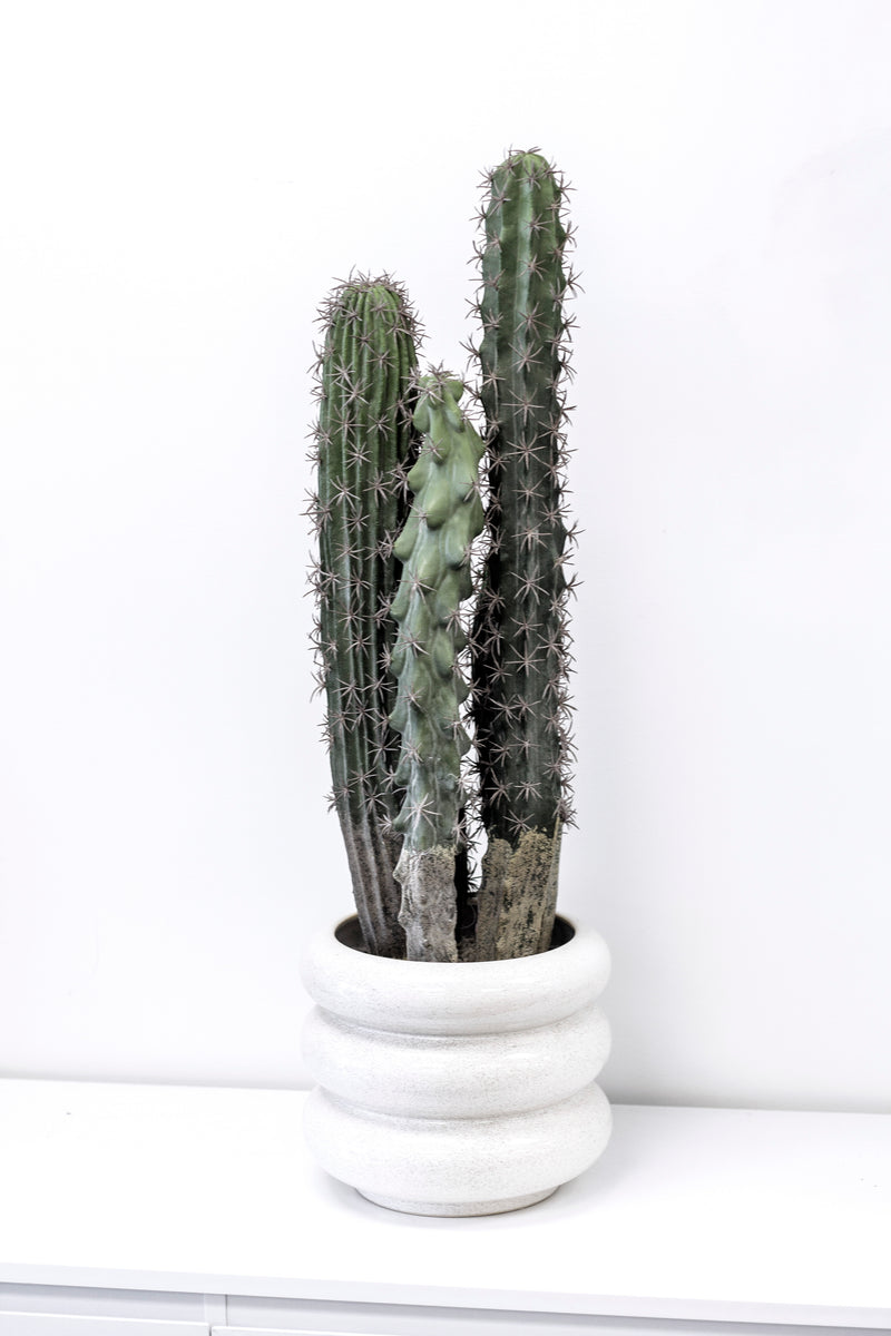 Cactus Potted 72cm