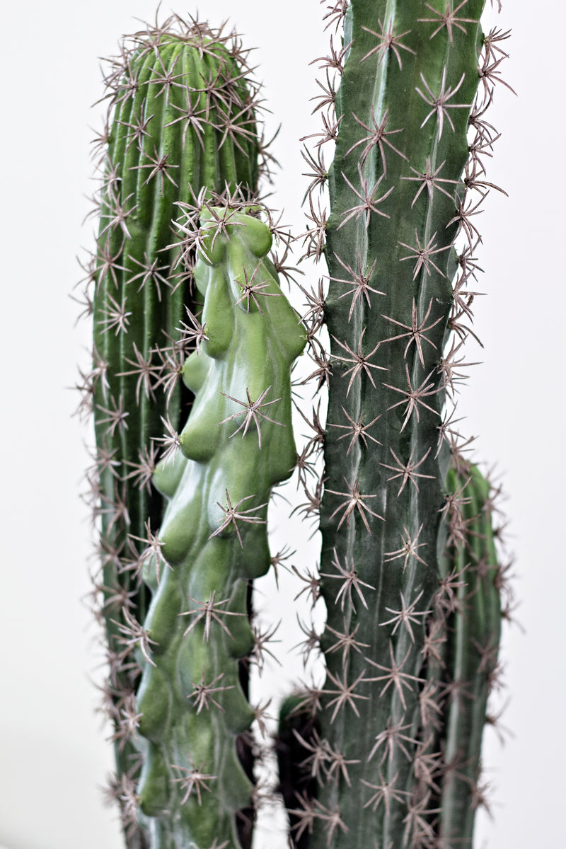 Cactus Potted 72cm