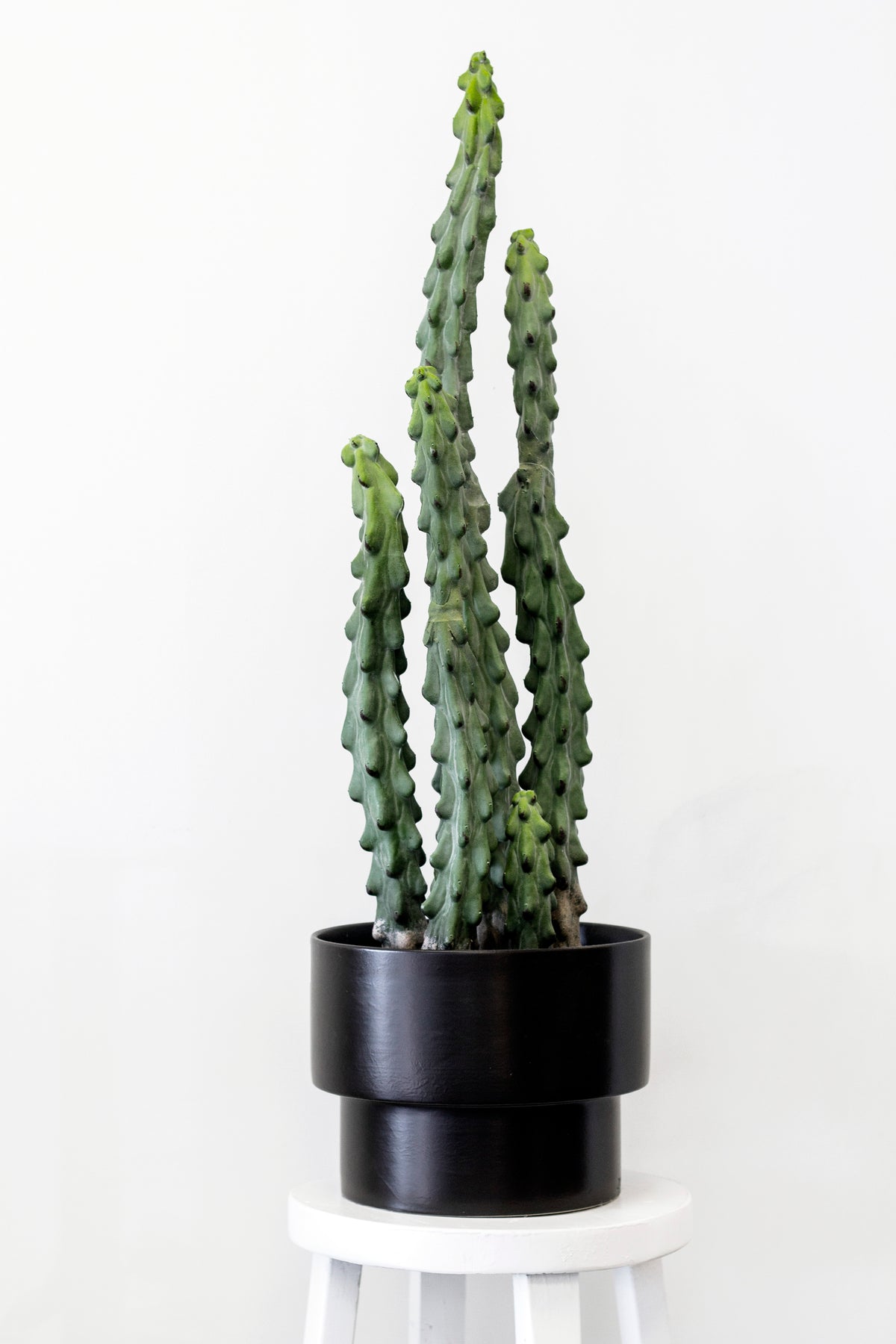 Faux cactus in a black pot on a white stool by a window