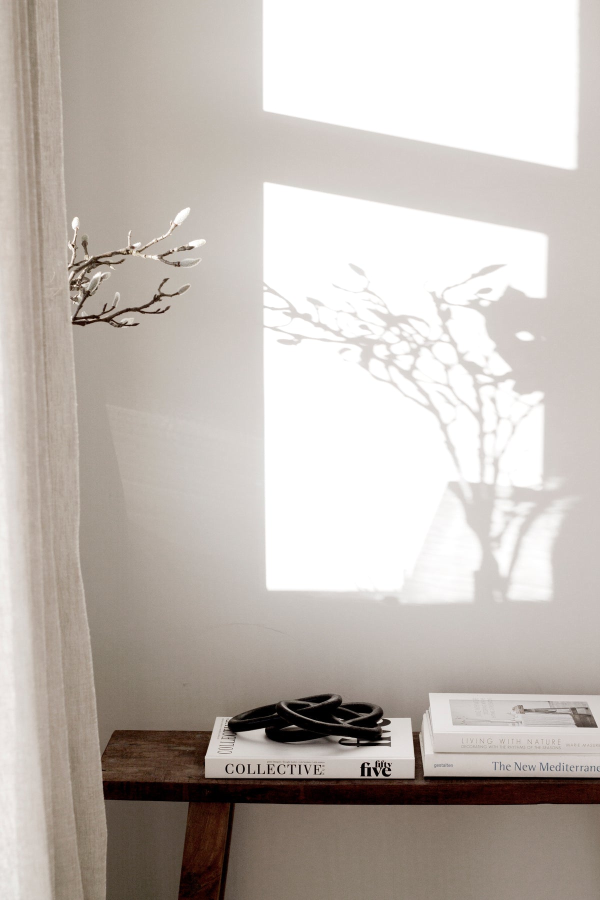Black chain sculpture on stacked books on a rustic timber bench, branch shadows falling across a white wall