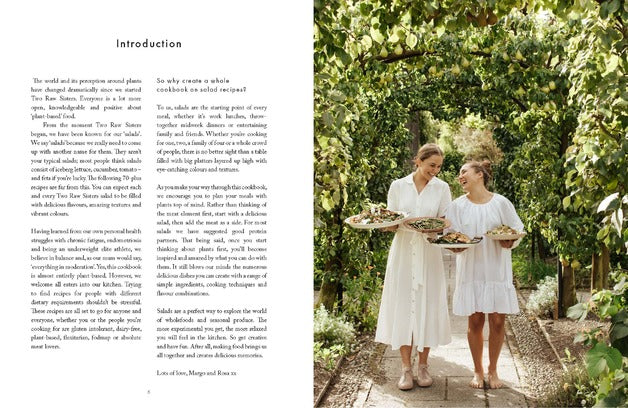 Salad cookbook by Two Raw Sisters styled flatlay