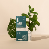 Good Change refill cleaning tablets box styled beside a plant