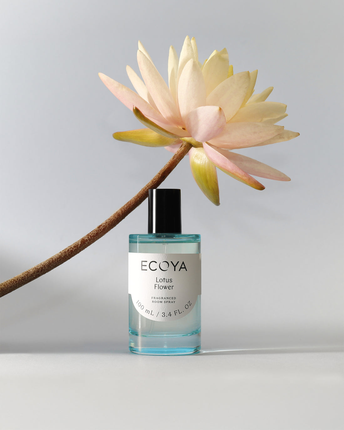 Ecoya Lotus Flower room spray in blue-tinted glass beneath a pale lotus bloom