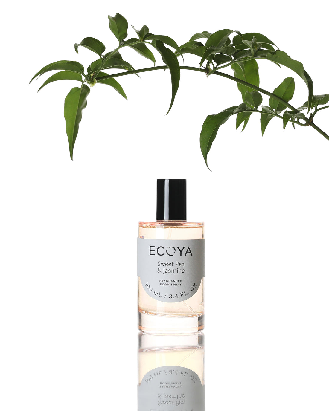 Ecoya room spray in clear glass beneath a sprig of green leaves