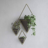 Trigg Wall Vessel