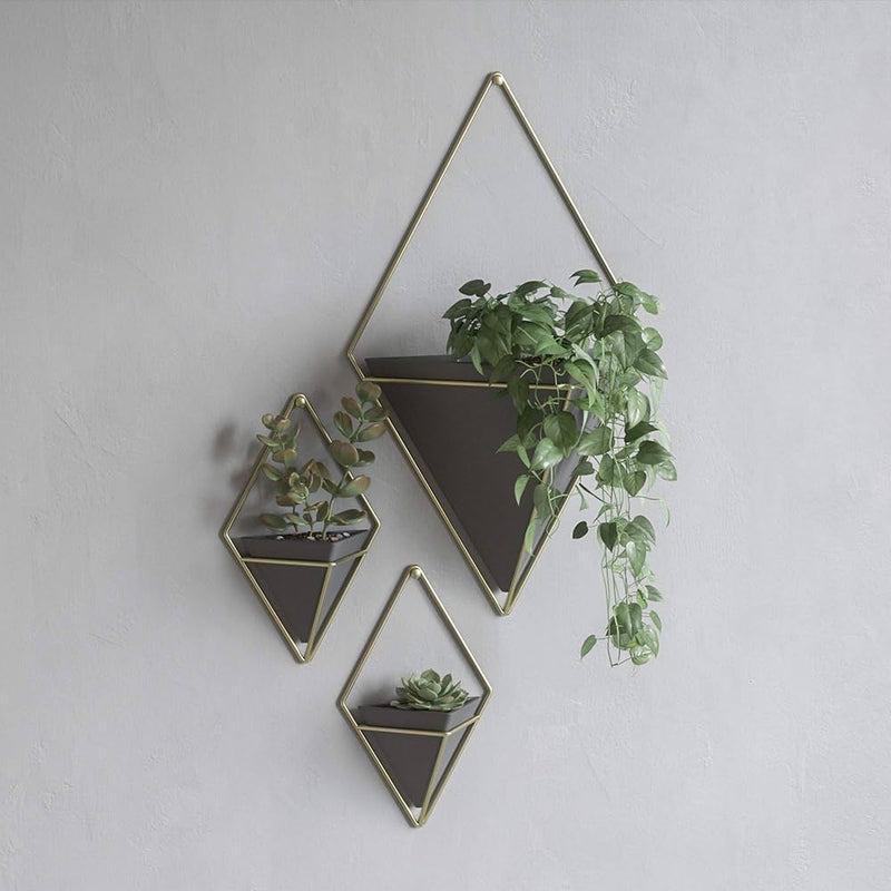 Trigg Wall Vessel