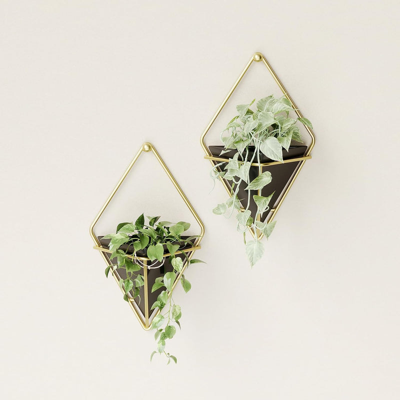 Trigg Wall Vessel