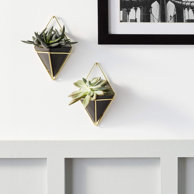 Trigg Wall Vessel