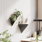 Trigg Wall Vessel