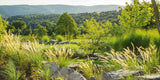 Nature. Aesthetics. Design. by Peter Berg | Garden Design Book