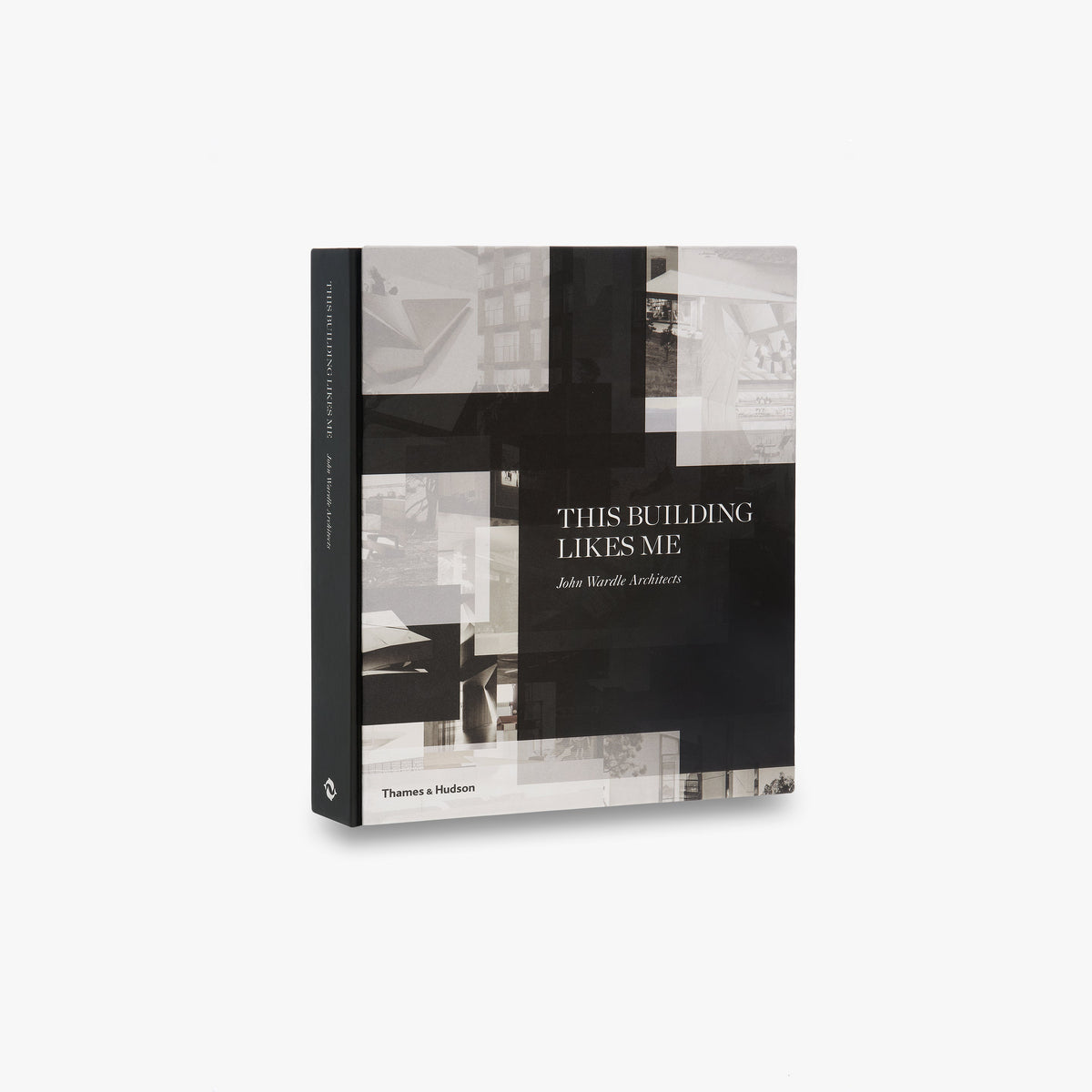 This Building Likes Me hardcover shown at an angle