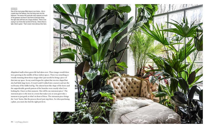Wild at Home by Hilton Carter styled with indoor plants