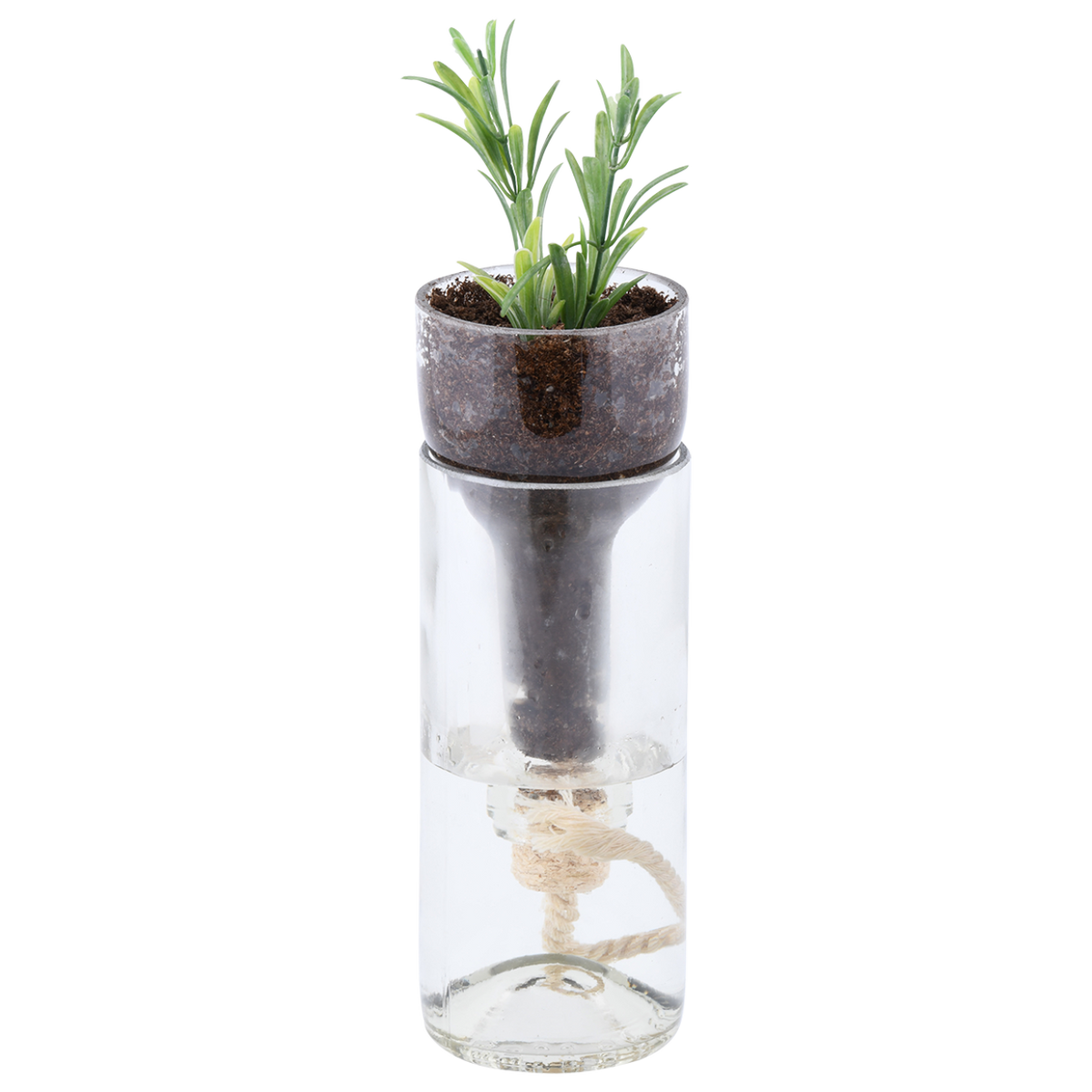 Glass bottle planter with herbs in the top section and a wick running into the water