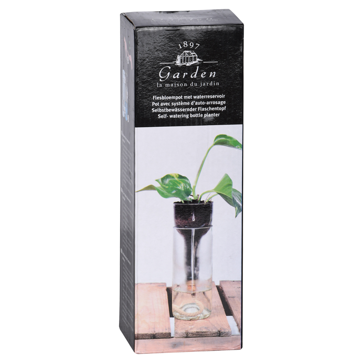 The self watering bottle planter in its retail box with a window front