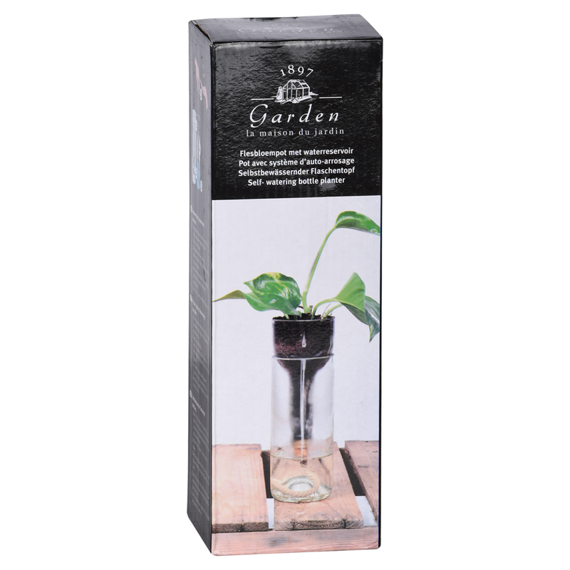 An Esschert Design self-watering bottle planter with a plant in it displayed in front of a box.