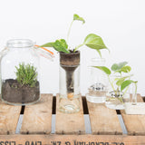 A collection of Esschert Design self-watering glass jar bottle planters with varying product dimensions.
