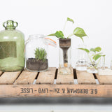 A wooden crate with Esschert Design self-watering bottle planters and self-watering jars on it.