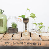 A group of Esschert Design self-watering bottle planters on a wooden pallet.