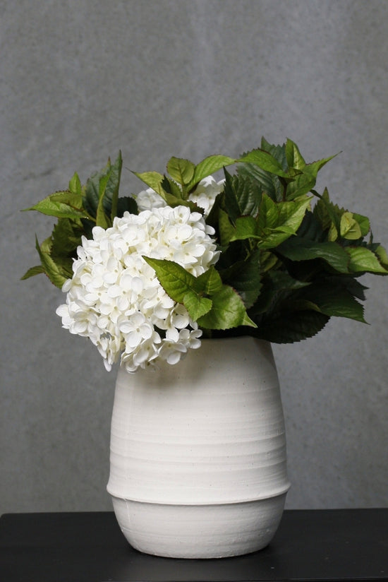 Leaf bush with white hydrangea blooms in a ribbed white vase against a grey wall
