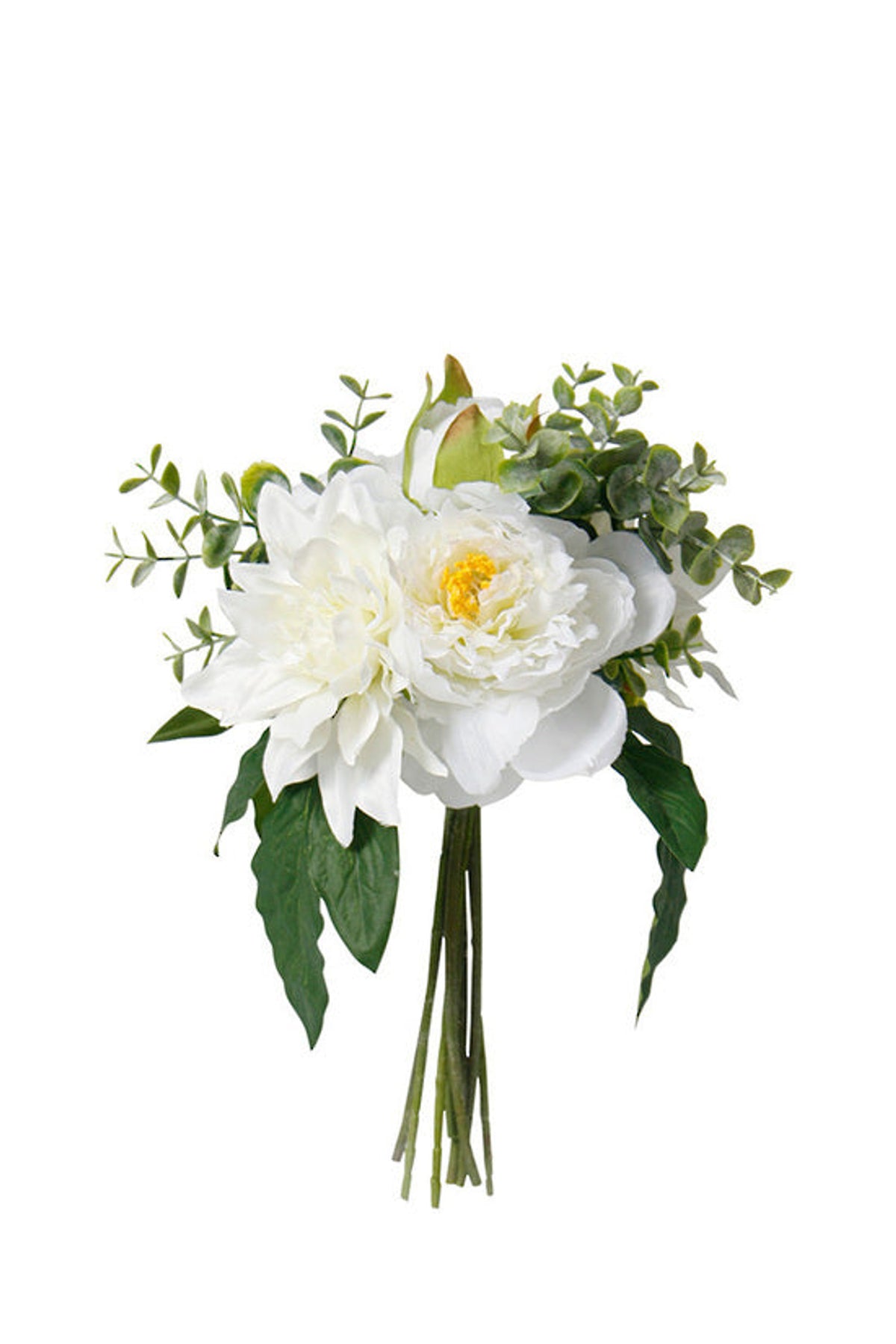 White dahlia and peony bouquet with eucalyptus leaves, on white