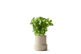 Billund Self-Watering Herb Pot from CrushGrind – 75% Recycled Plastic