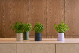 Billund Self-Watering Herb Pot from CrushGrind – 75% Recycled Plastic