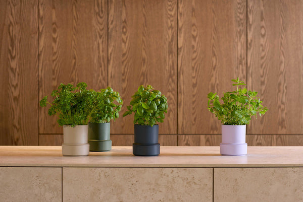 Billund Self-Watering Herb Pot from CrushGrind – 75% Recycled Plastic