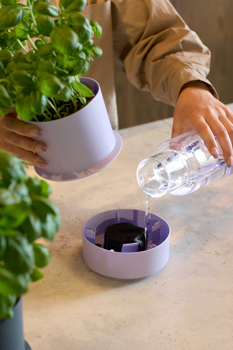 Billund Self-Watering Herb Pot from CrushGrind – 75% Recycled Plastic