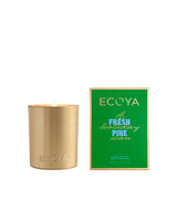 Fresh Pine Goldie Candle 460g | Ecoya Holiday Collection