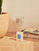 Coconut & Tuberose Plug-In Diffuser Fragrance Flask | High Summer from Ecoya