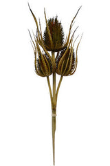 Dried Thistle x3 Bundle