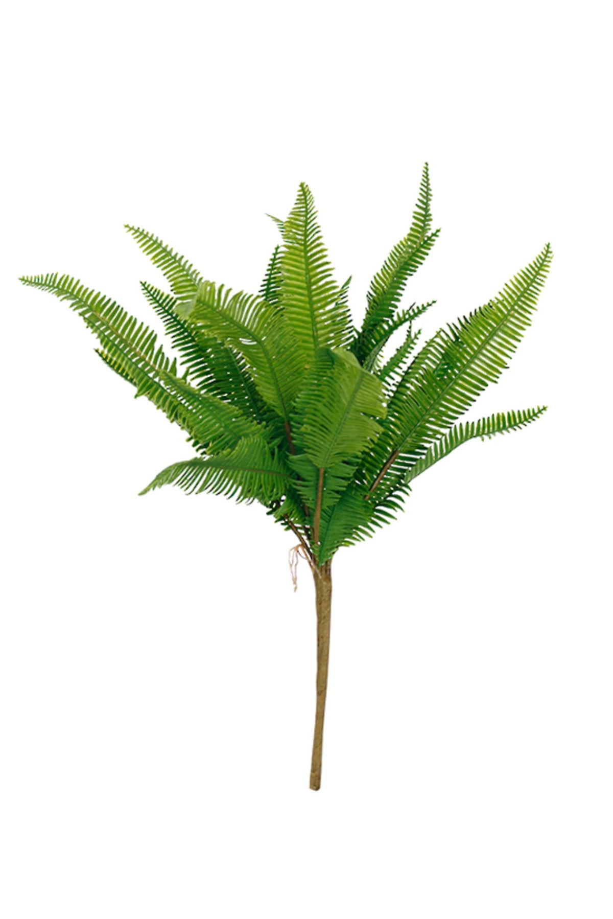 Ladder fern bush, 44cm faux greenery, alternate view on white