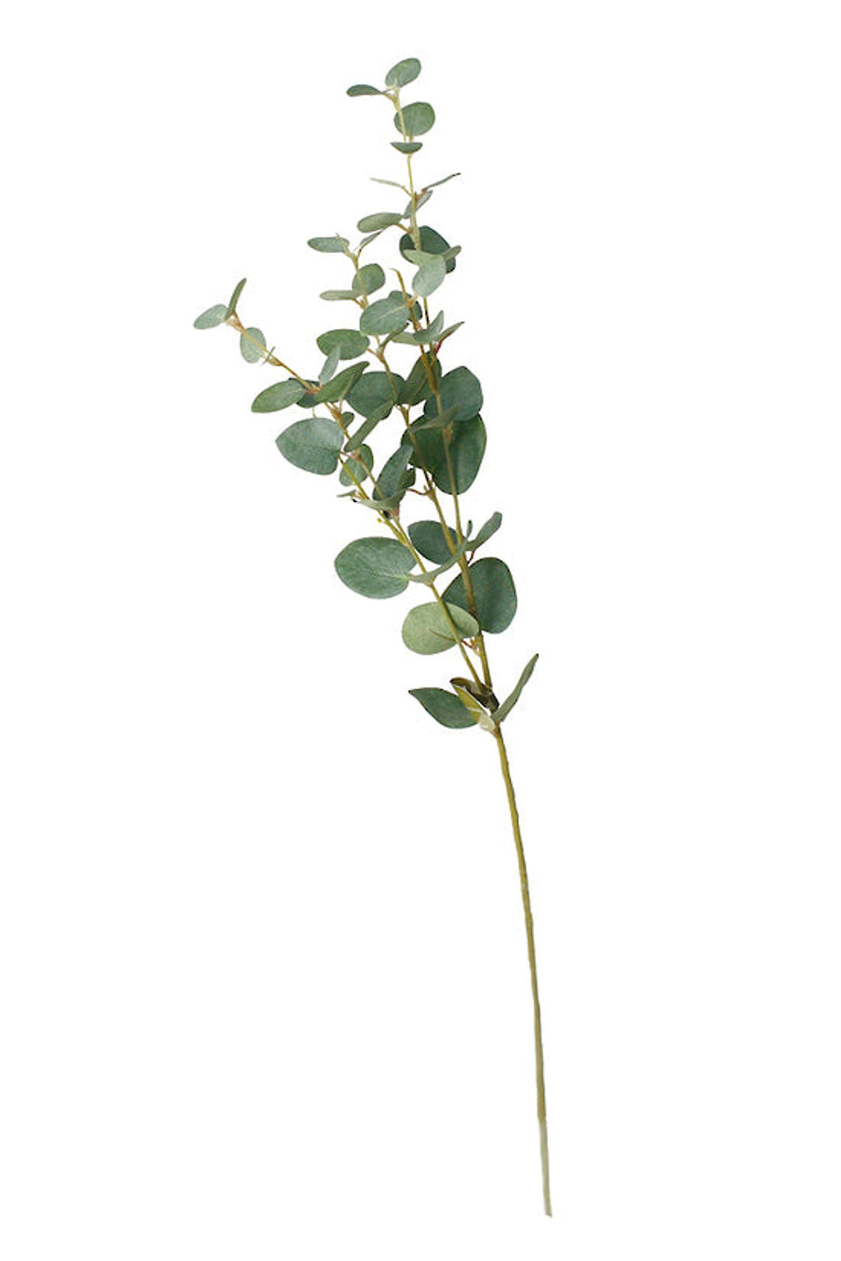 Single faux eucalyptus stem laid flat on a white background