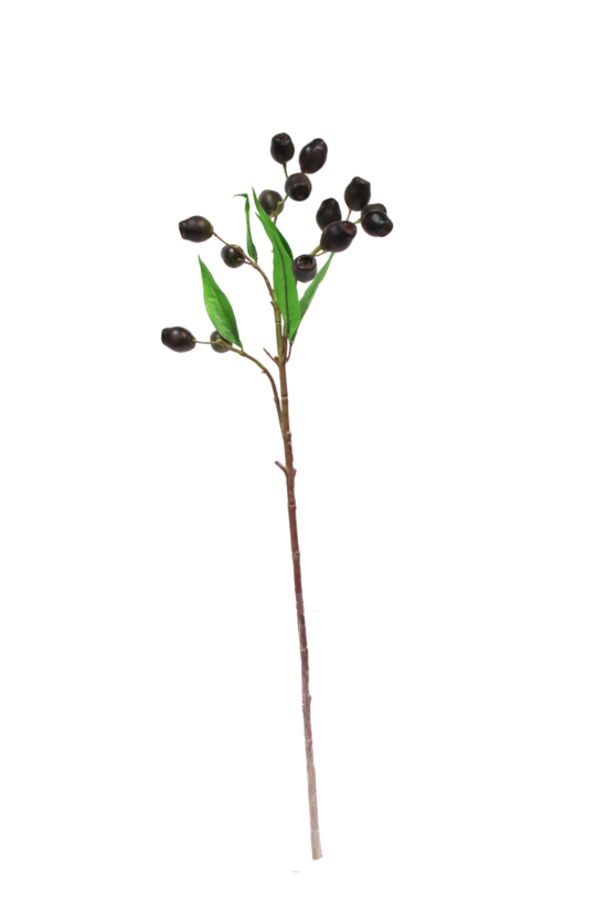 An Eucalyptus Pod Brown w/Green Leaves by Artificial Flora with small black flowers on a black background.