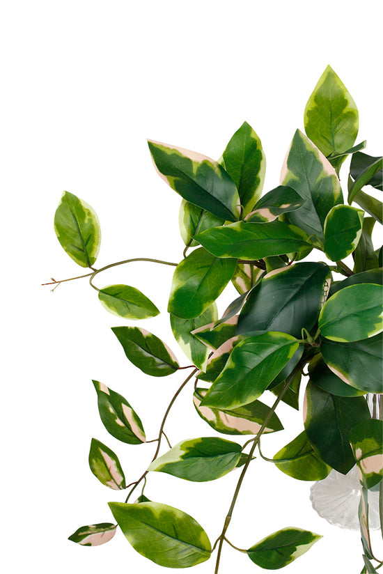 Pothos Variegated Hanging Bush 40cm – Artificial Greenery