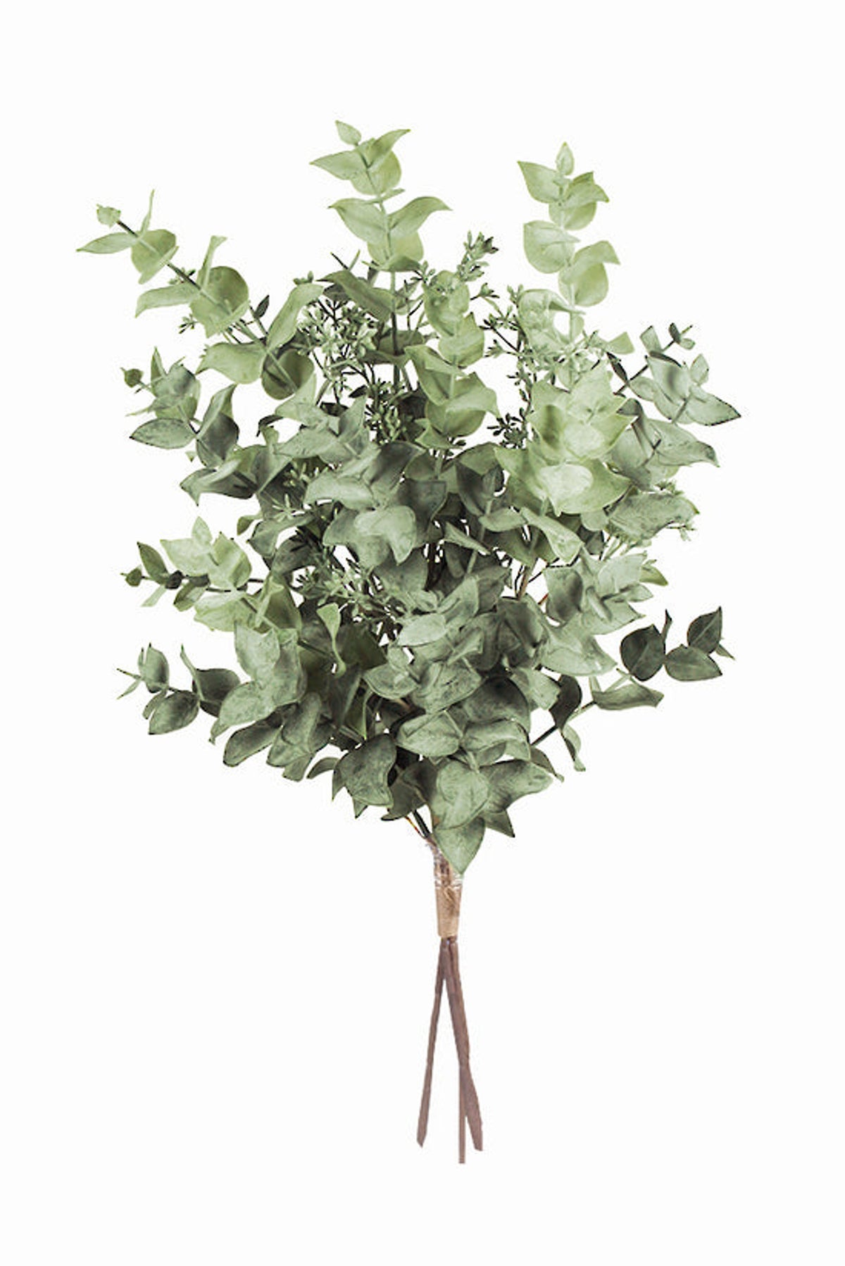 Tied bundle of three faux seeded eucalyptus stems on a white background