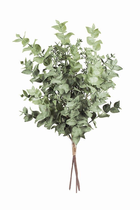 Tied bundle of three faux seeded eucalyptus stems on a white background