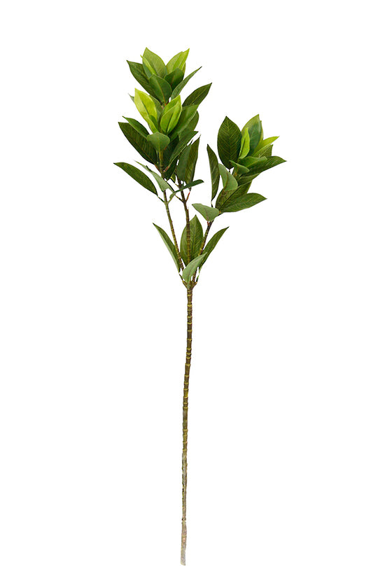 Laurel leaf spray, 82cm faux greenery on a white background