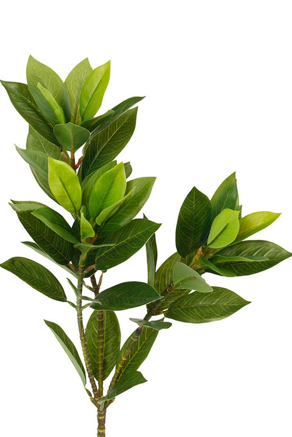 Close-up of laurel leaf faux foliage