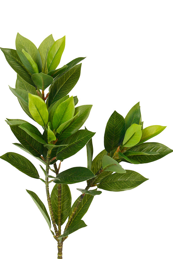 Close-up of laurel leaf faux foliage