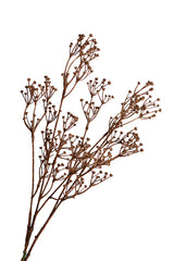 Talinum Spray 79cm | Faux Dried Botanical Stem