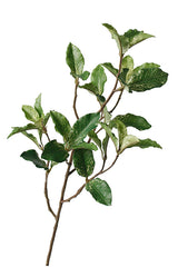 Pittosporum Leaf Spray 51cm – Artificial Greenery Stem